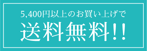 5,400円以上のお買い上げで送料無料!!